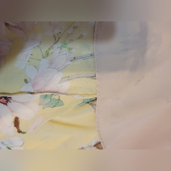 🎀CLEARANCE🎀 Slate & Willow chiffon layered maxi dress.  DESIGNER. MSRP $250 - Picture 4 of 7